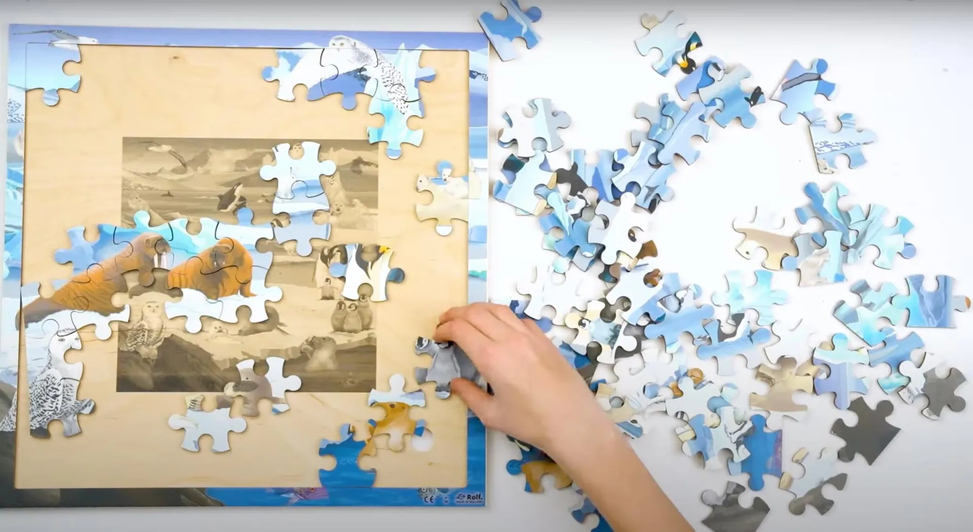 Virtuelles Puzzle "Lebensräume" | Puzzle Tiere | Dragon Toys