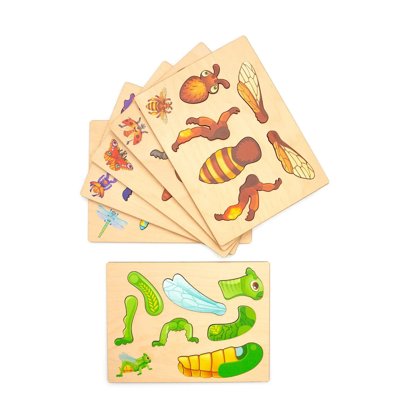 Magnetpuzzle Insekten | Dragon Toys_30168-Insekten_