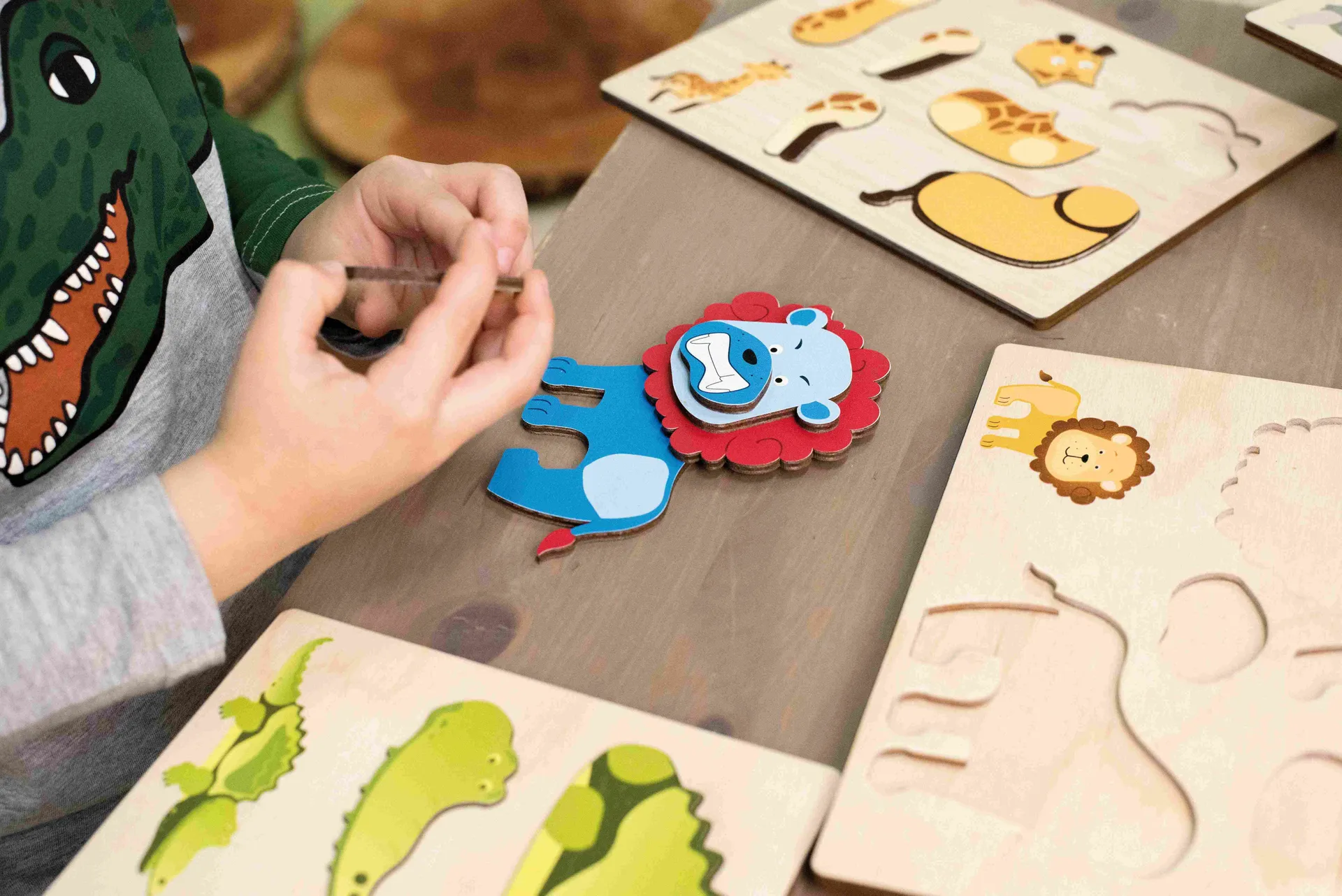 30168-Wildtiere_5 Magnetpuzzle Wildtiere | Dragon Toys