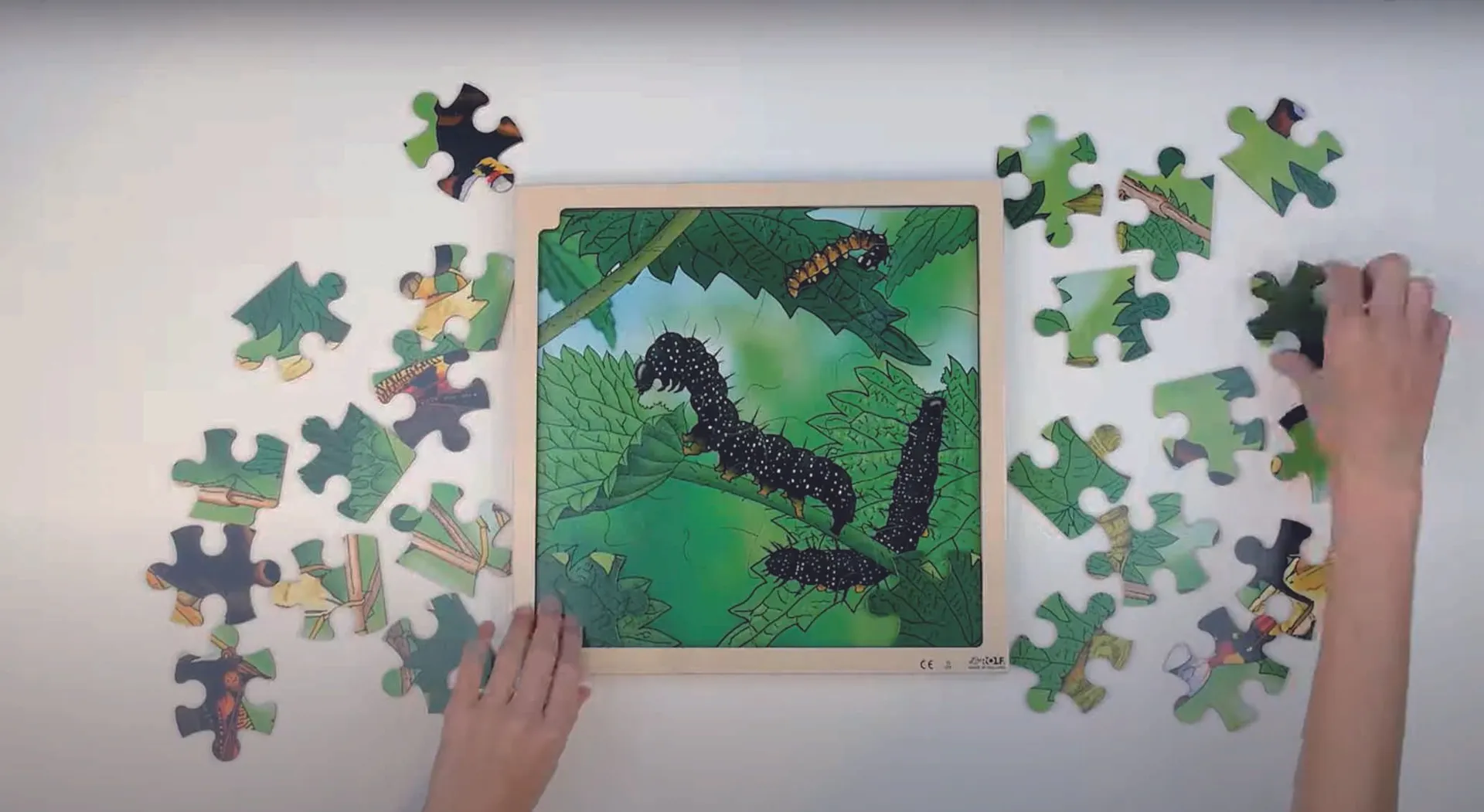 Virtuelles Lagenpuzzle "Schmetterling" | Dragon Toys