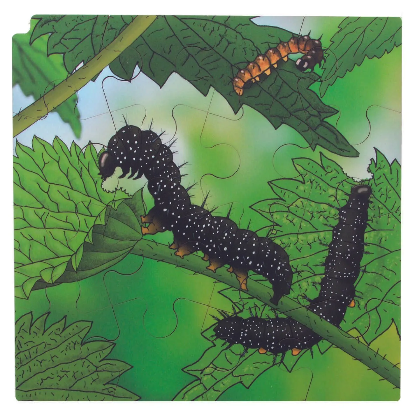 Virtuelles Lagenpuzzle "Schmetterling" | Dragon Toys