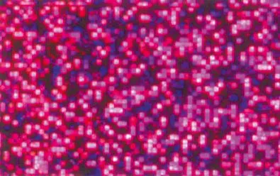 Hologrammfolie selbstklebend, 5 Rollen | Holografische Folie | Dragon Toys