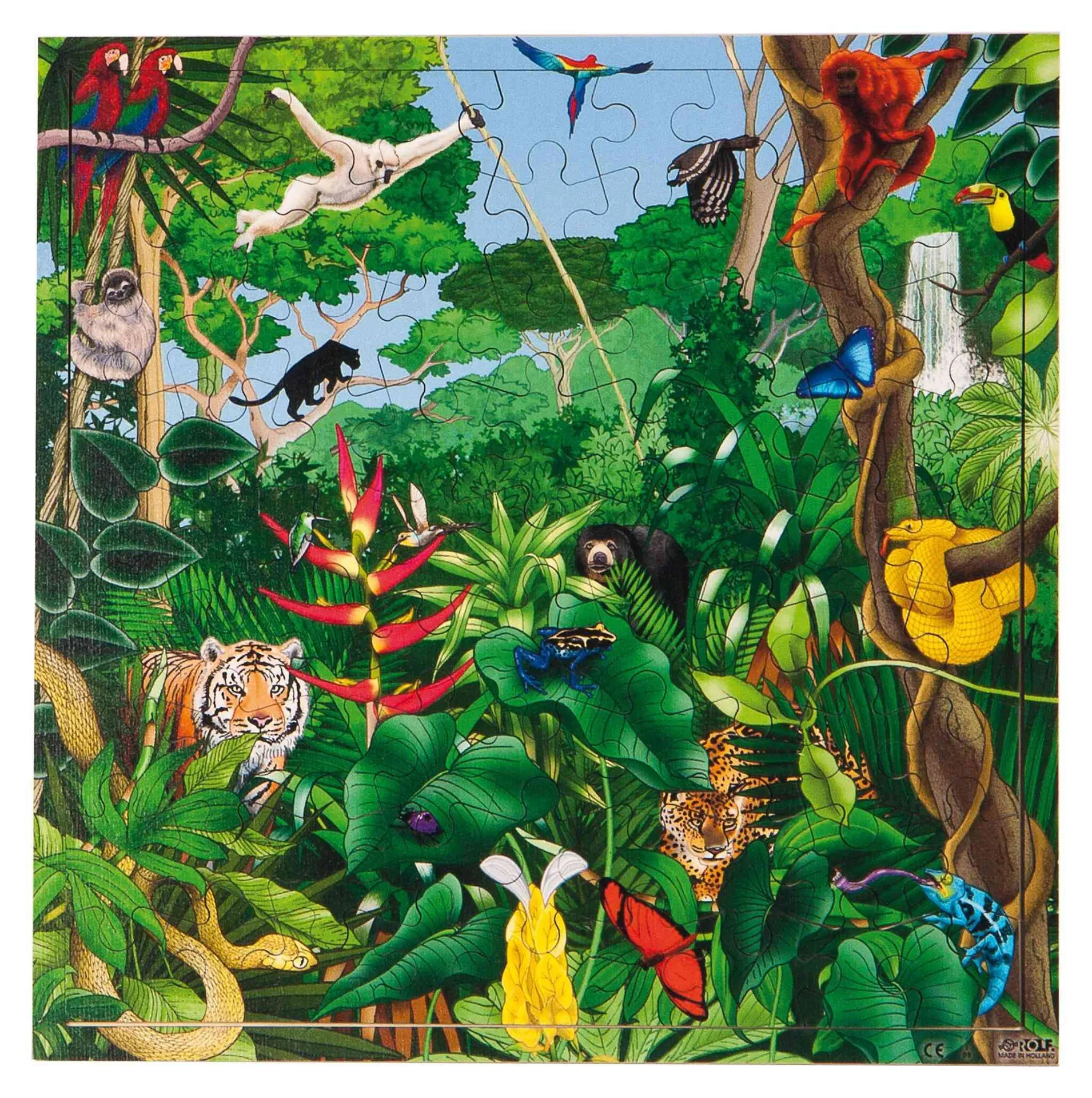 Virtuelles Puzzle "Lebensräume" | Puzzle Tiere | Dragon Toys_30204_