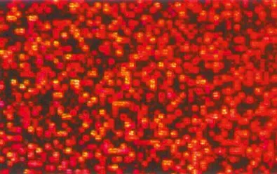 Hologrammfolie selbstklebend, 5 Rollen | Holografische Folie | Dragon Toys_U45600-22_