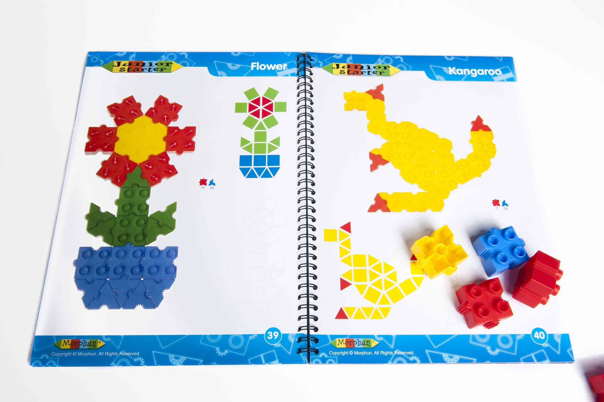 25111_3 Morphun Junior Box | Dragon Toys