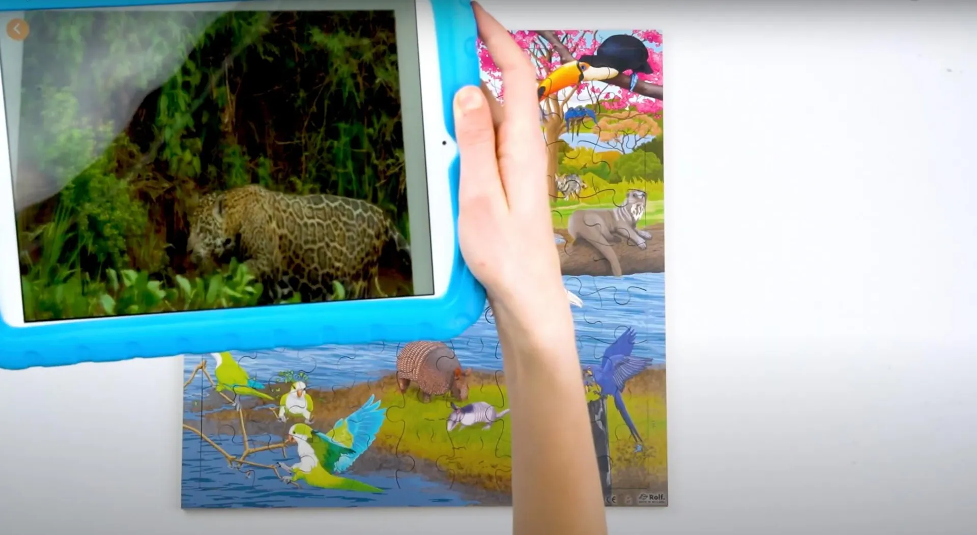 Virtuelles Puzzle "Lebensräume" | Puzzle Tiere | Dragon Toys