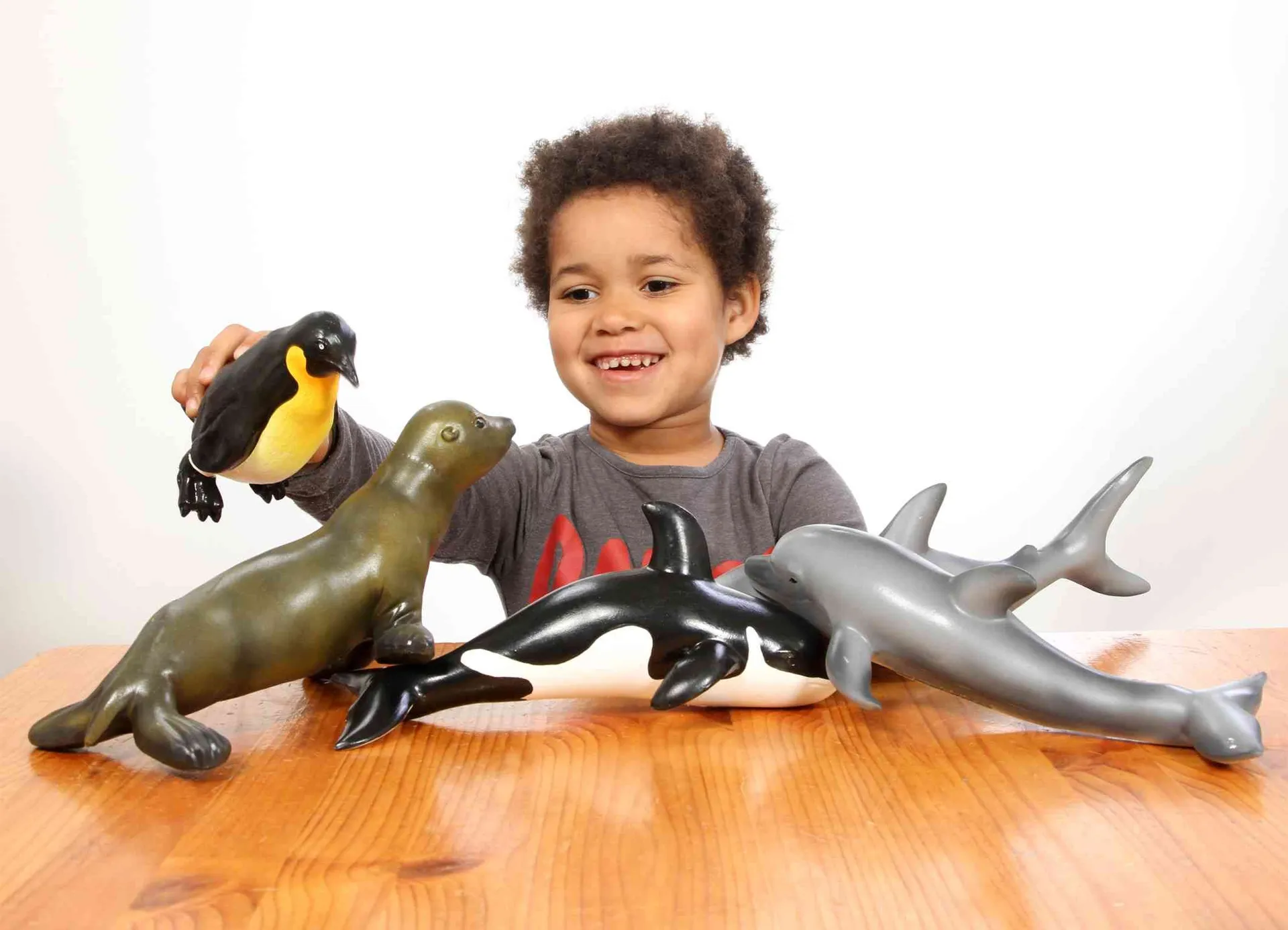 Meeres-Softtiere 5er Set | Softtiere | Dragon Toys