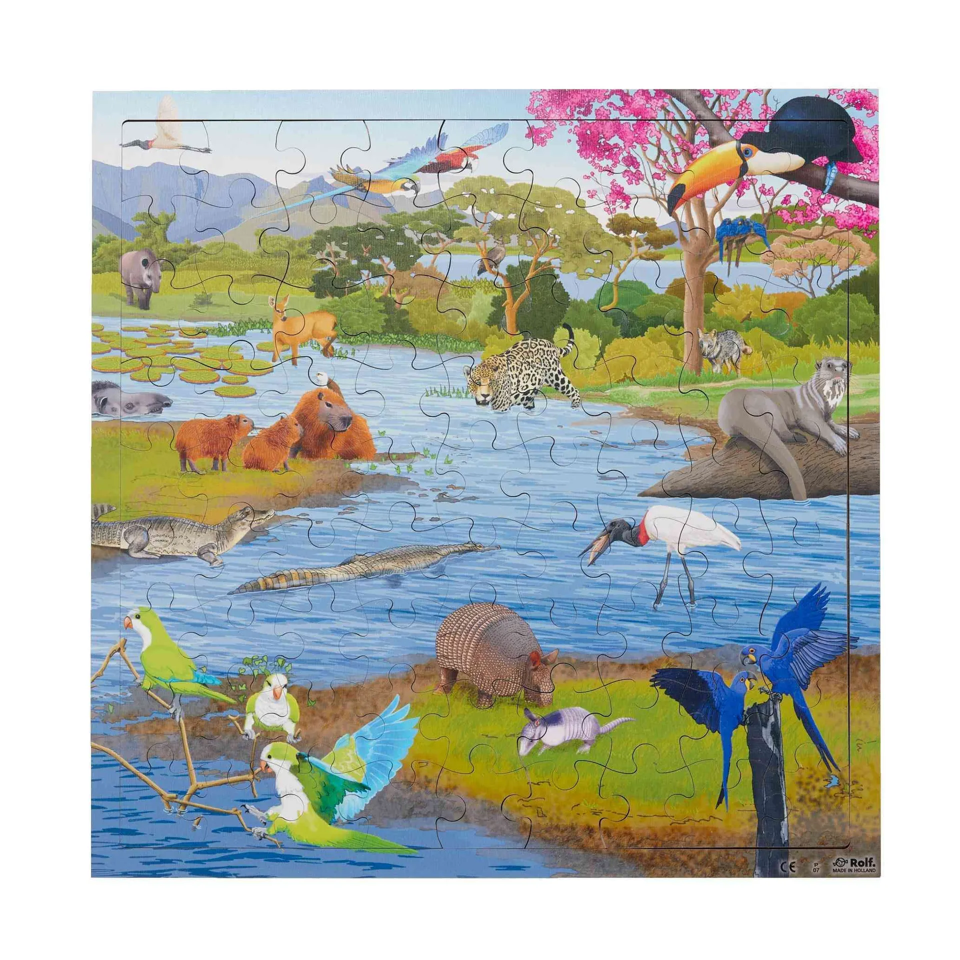 Virtuelles Puzzle "Lebensräume" | Puzzle Tiere | Dragon Toys