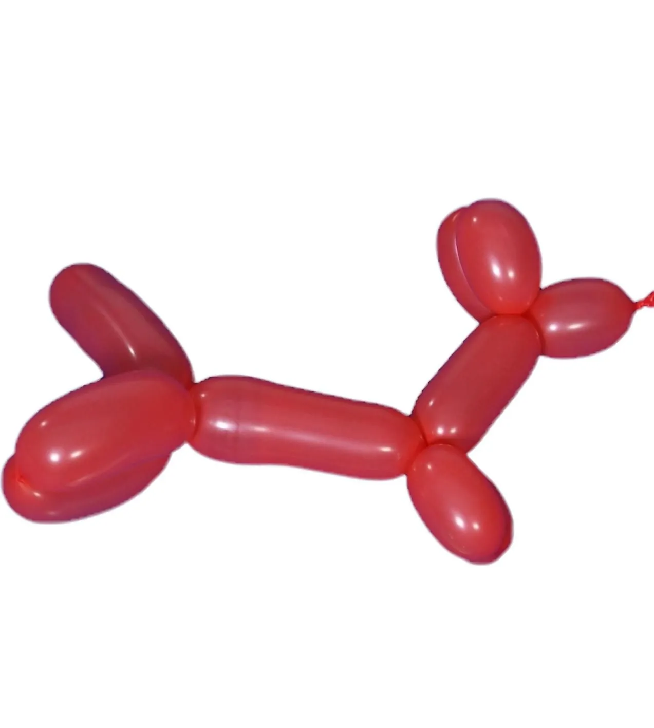 Zauberballons 8 Stück | Modellierballons | Dragon Toys_70002_