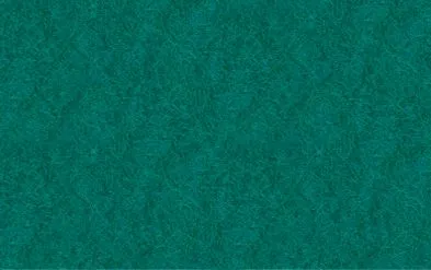 Bastelfilz | Dragon Toys