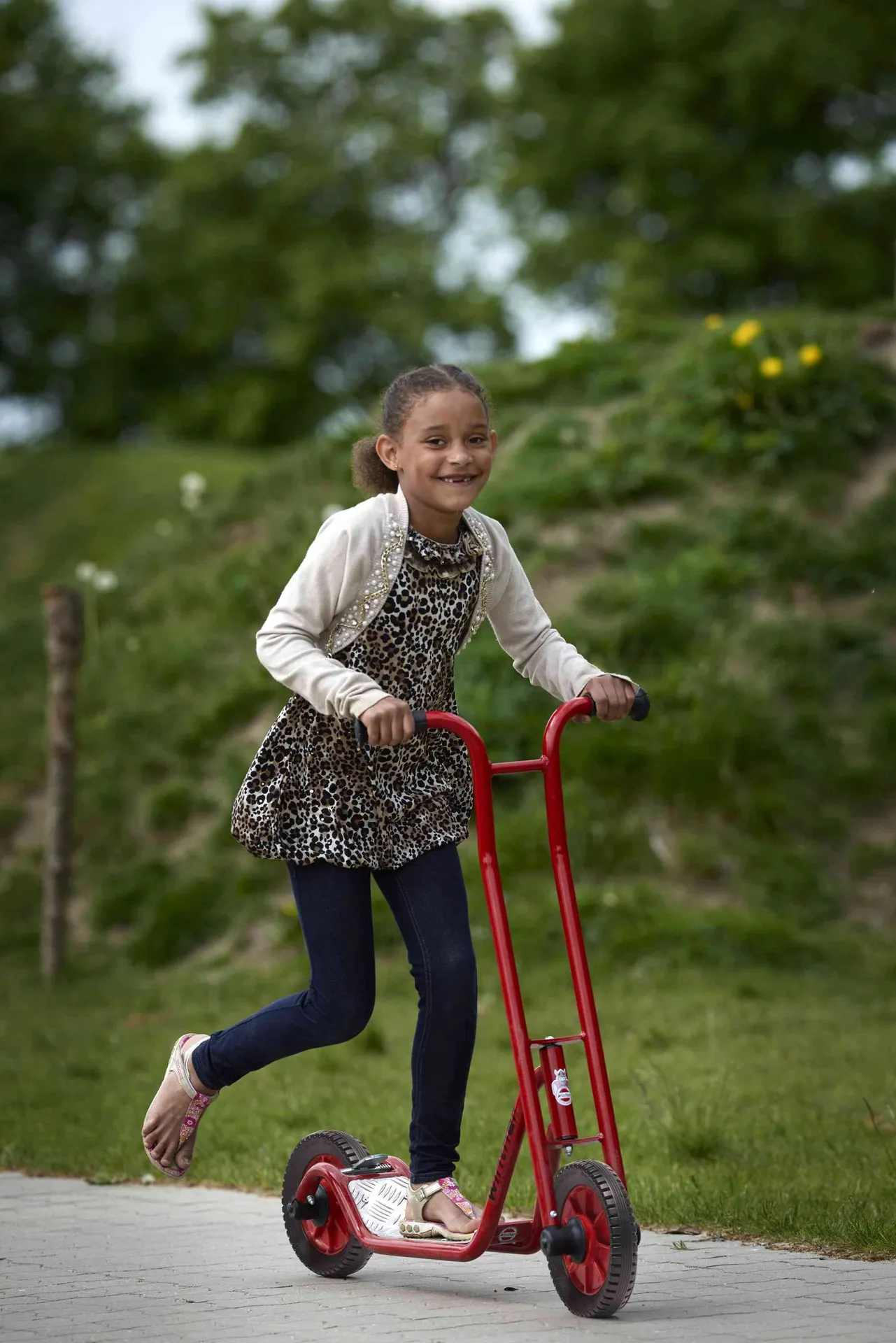 Winther Roller groß