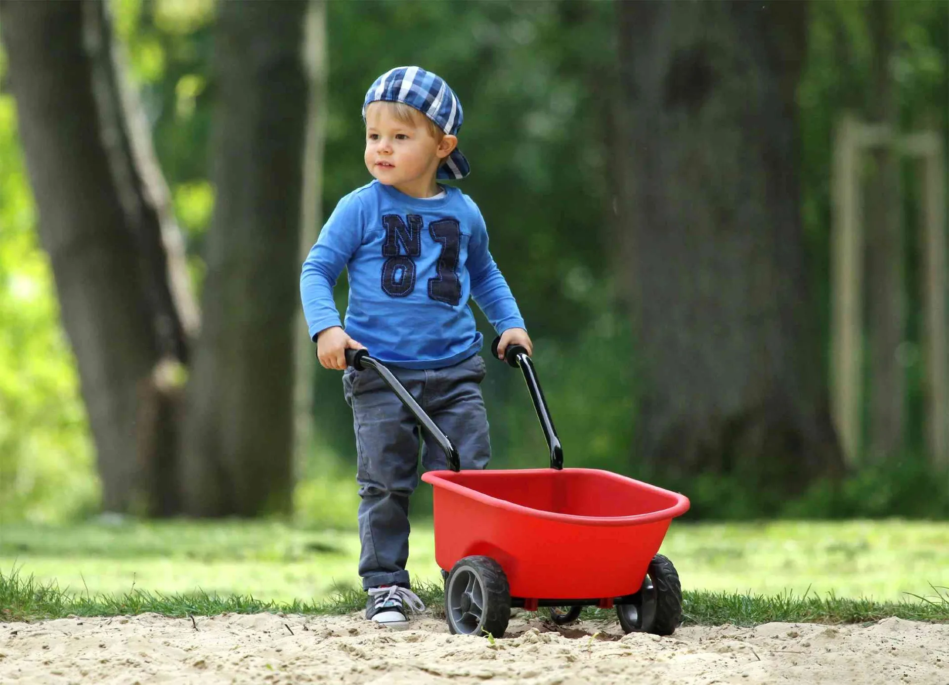 Kinderschubkarre rot (montiert) | Dragon Toys_20402-R_
