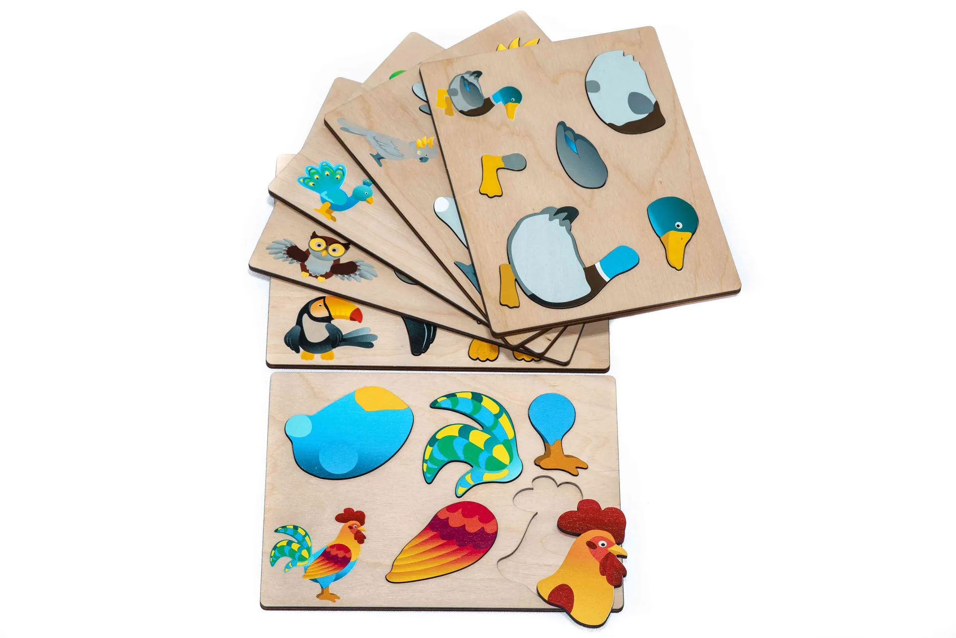 30168-Vögel_1 Magnetpuzzle Vögel | Dragon Toys