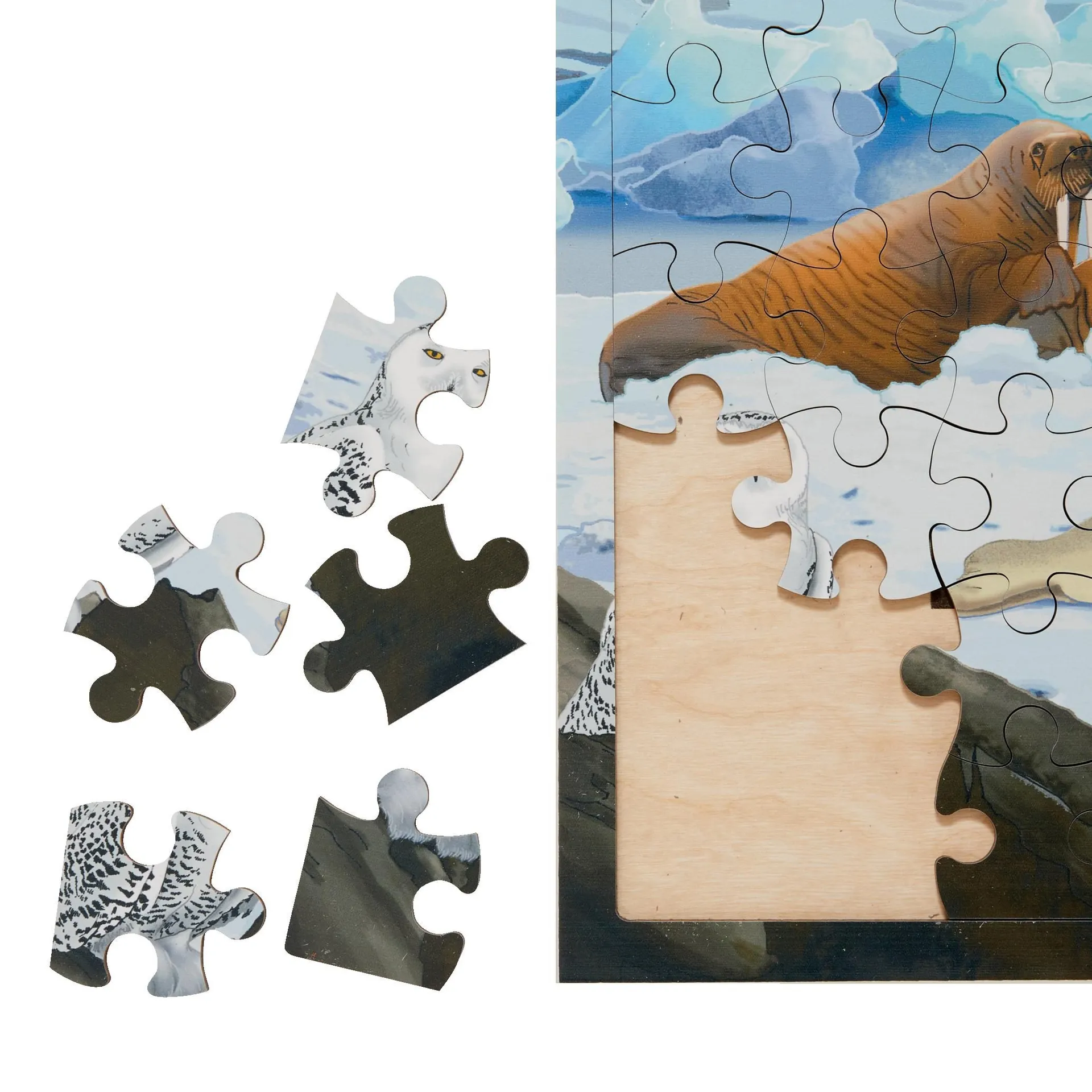 Virtuelles Puzzle "Lebensräume" | Puzzle Tiere | Dragon Toys_30204-02_