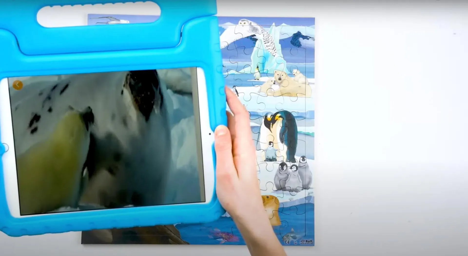 Virtuelles Puzzle "Lebensräume" | Puzzle Tiere | Dragon Toys