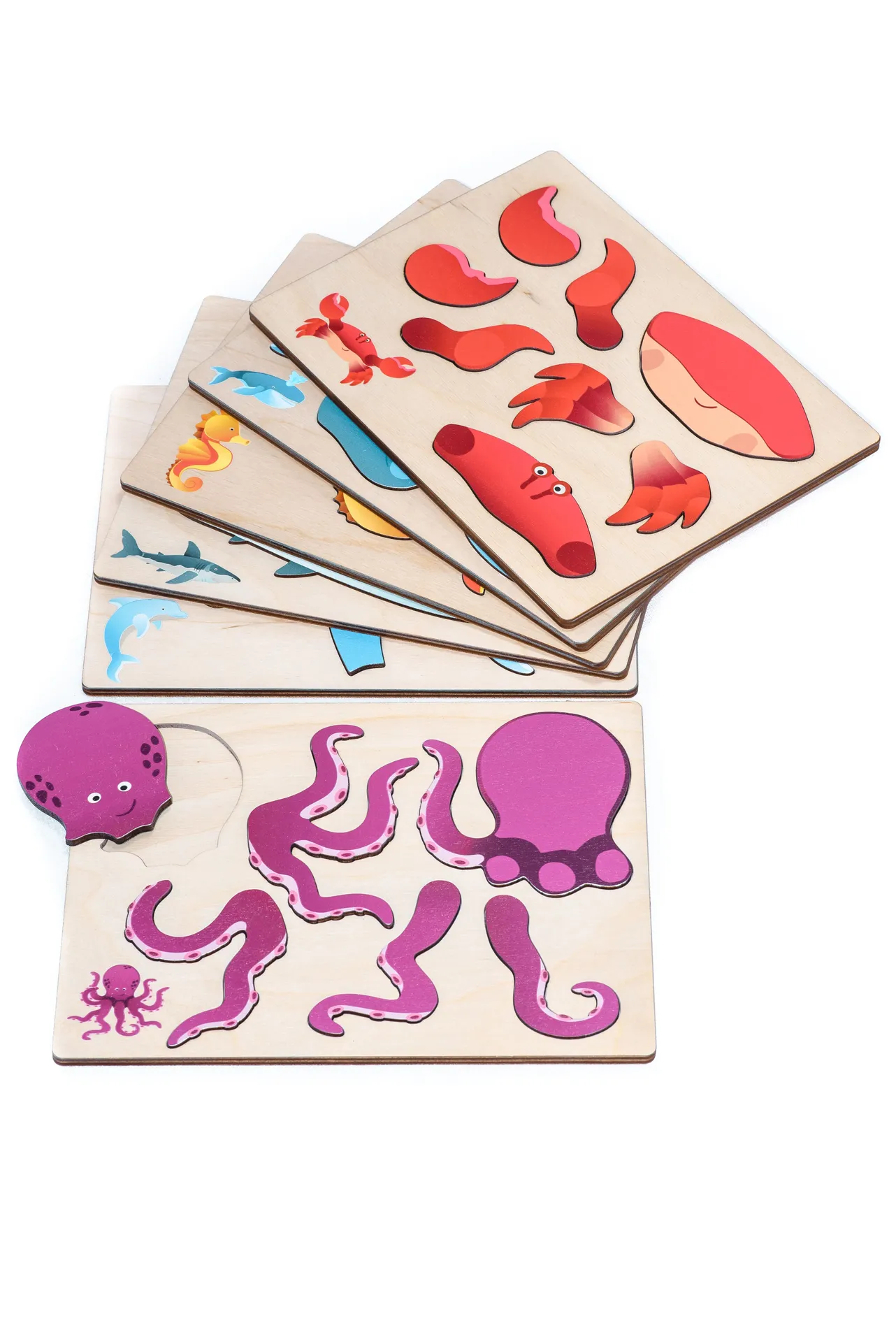 Magnetpuzzle Meerestiere | Dragon Toys_30168-Meerestiere_