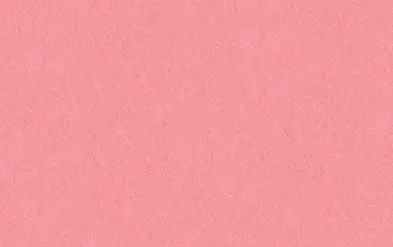 Bastelfilz | Dragon Toys