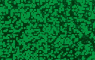 Hologrammfolie selbstklebend, 5 Rollen | Holografische Folie | Dragon Toys