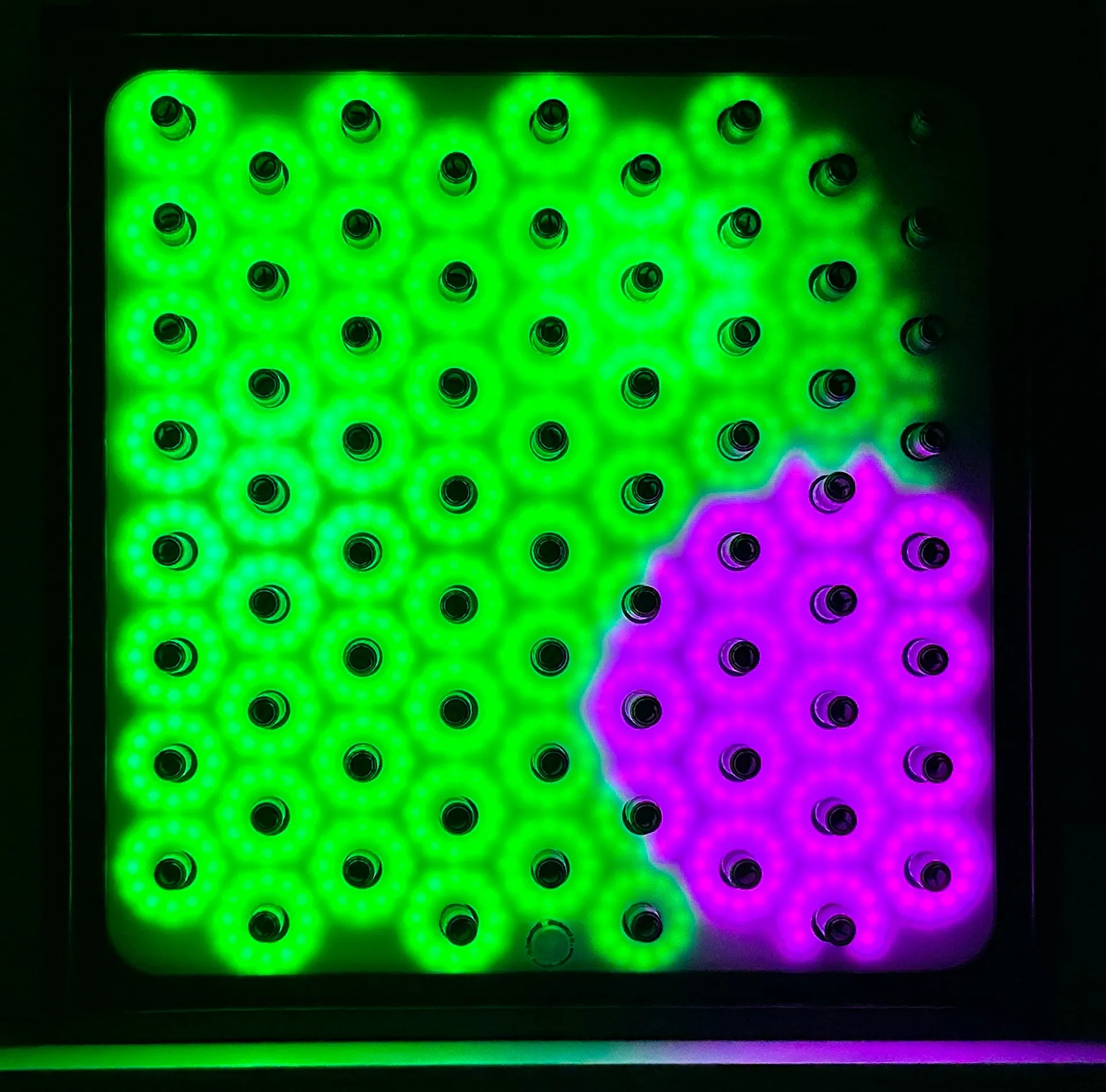 Sensorischer Lichtgarten