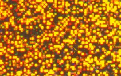 Hologrammfolie selbstklebend, 5 Rollen | Holografische Folie | Dragon Toys