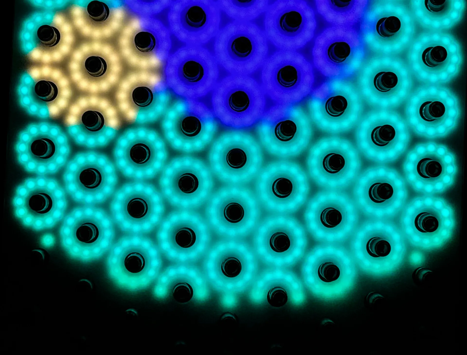 Sensorischer Lichtgarten