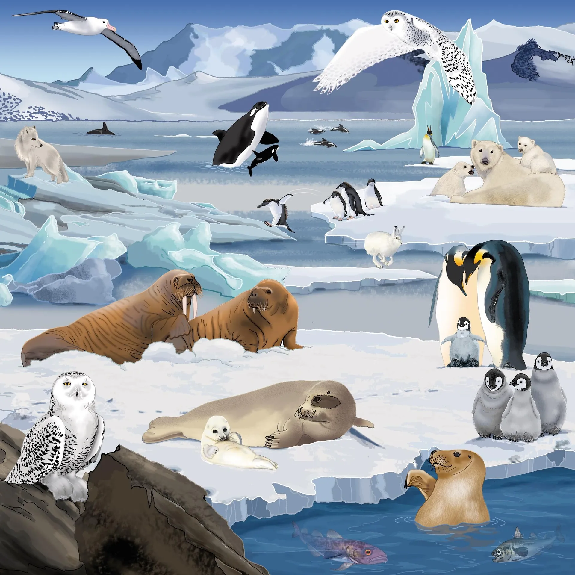 Virtuelles Puzzle "Lebensräume" | Puzzle Tiere | Dragon Toys_30204-02_