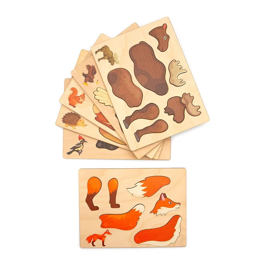 Magnetpuzzle Wald | Dragon Toys_30168-Wald_