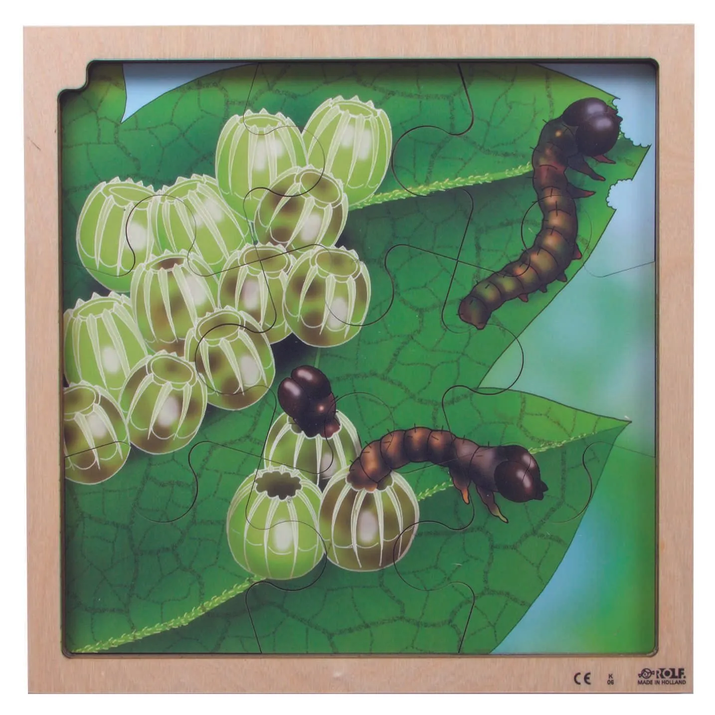 30203-Butterfly_2 Virtuelles Lagenpuzzle "Schmetterling" | Dragon Toys