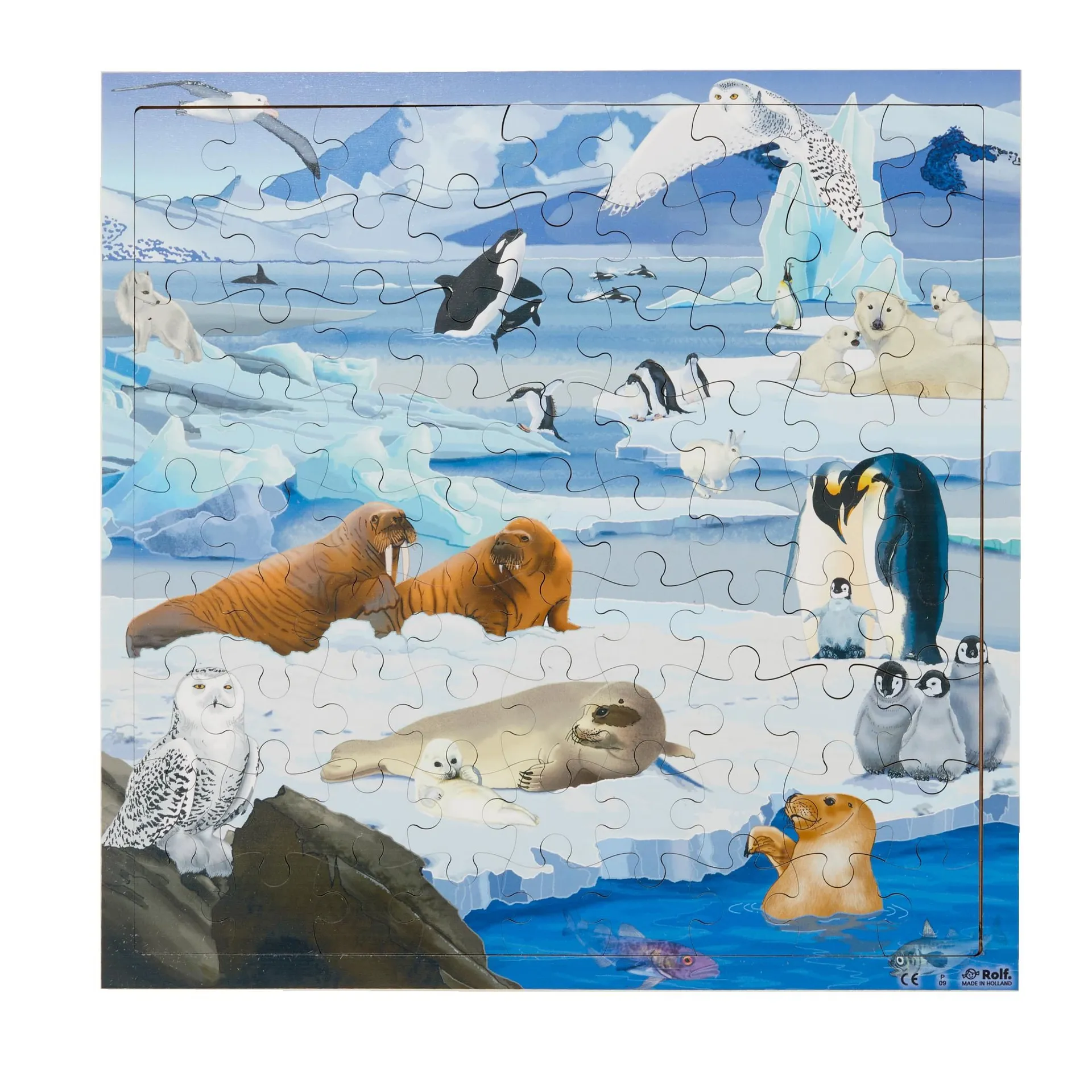 Virtuelles Puzzle "Lebensräume" | Puzzle Tiere | Dragon Toys_30204-02_