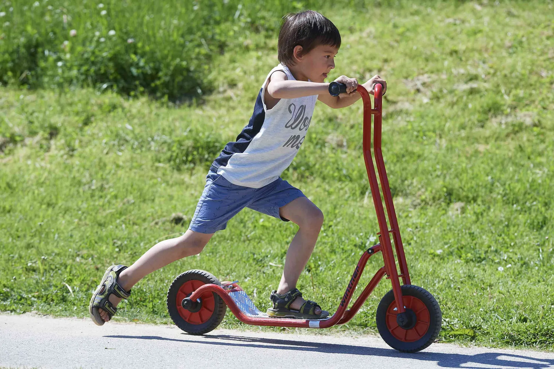 Winther Roller groß