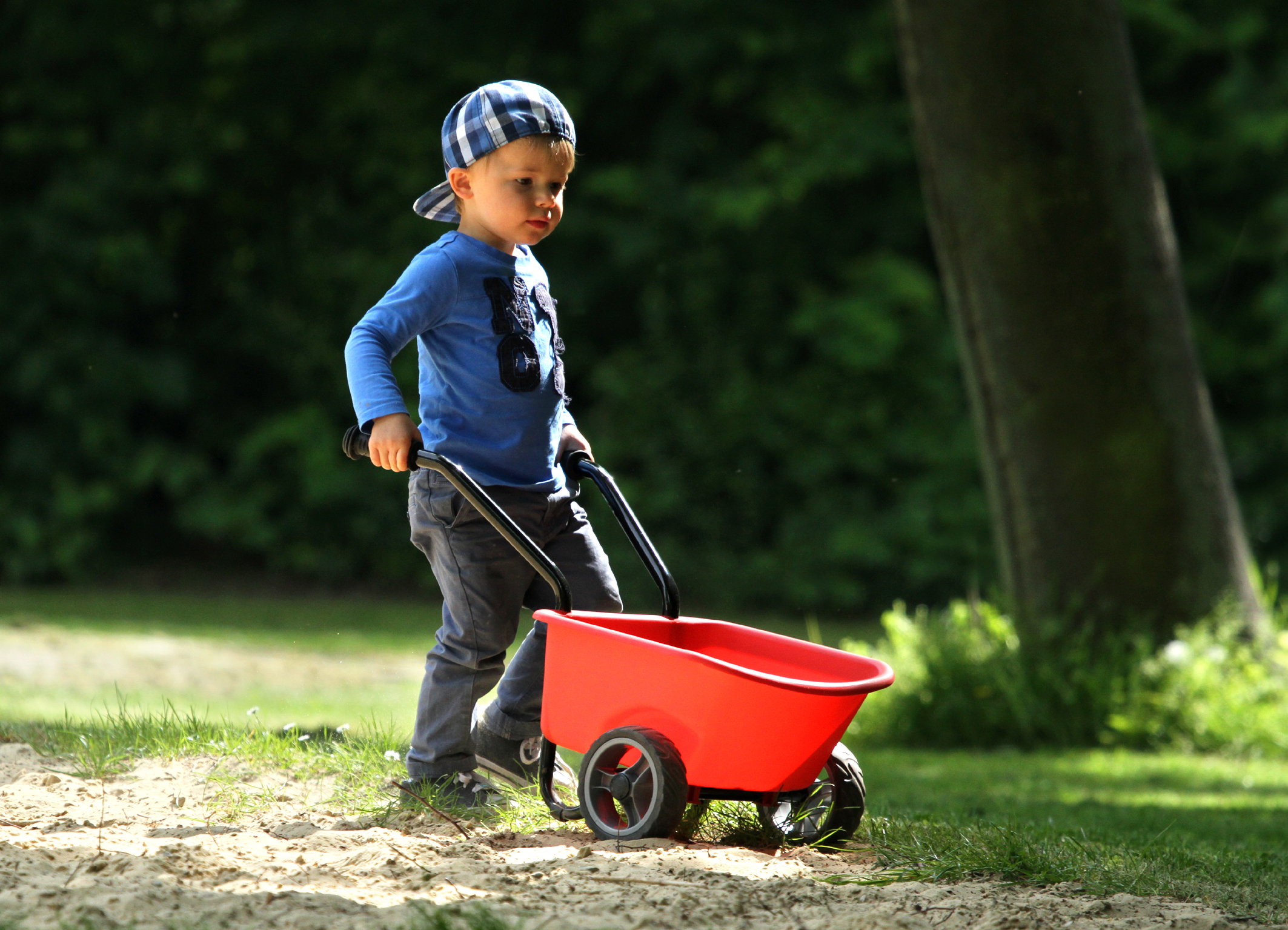 Junge schiebt kleine Kinderschubkarre