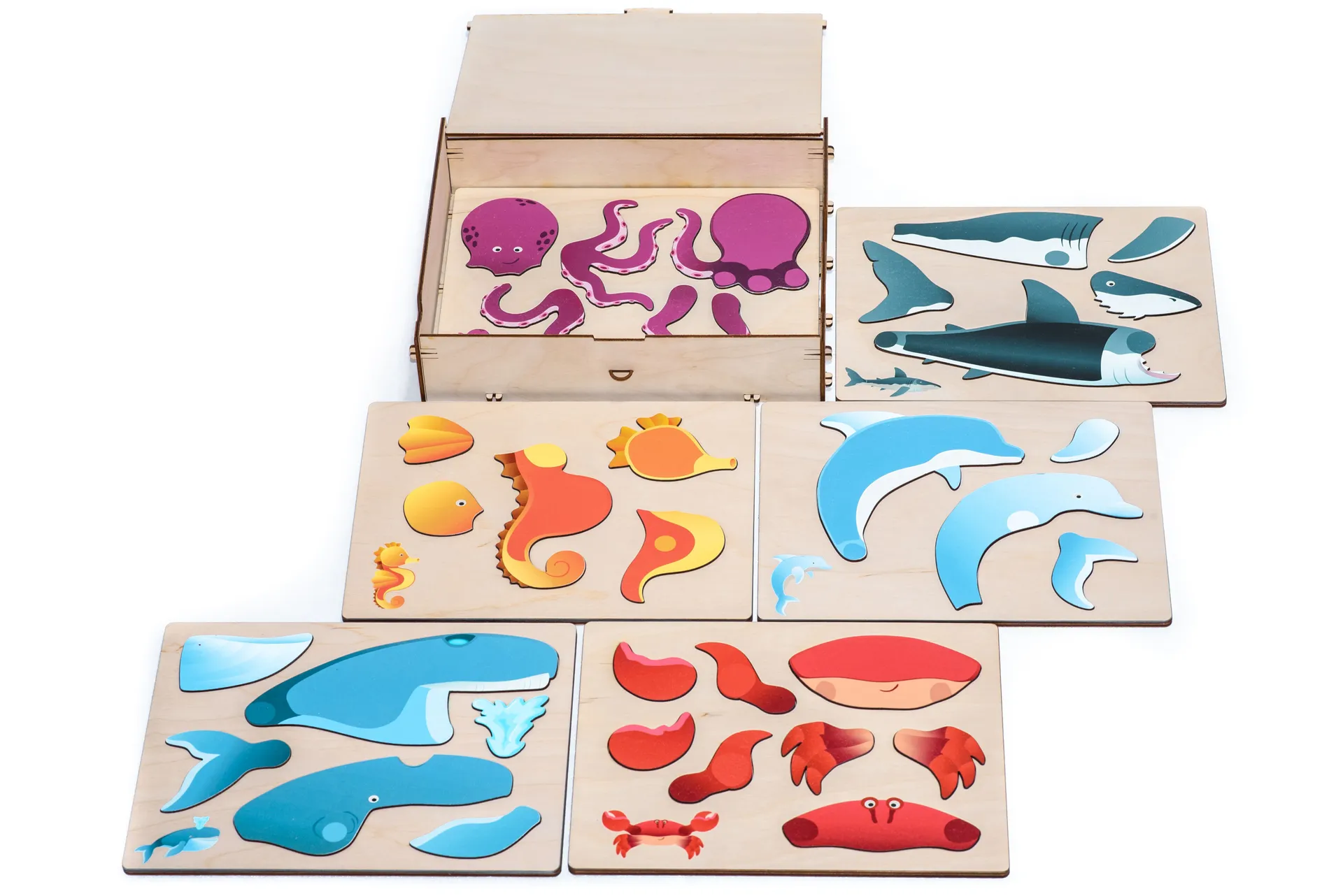 Magnetpuzzle Meerestiere | Dragon Toys_30168-Meerestiere_