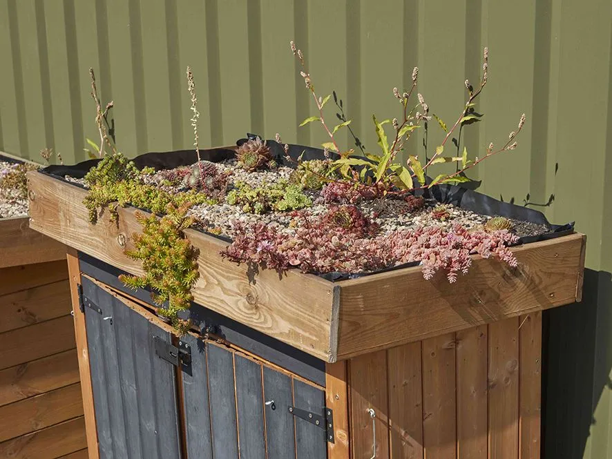 Schuppen mit Dachbegrünung  | Cosy