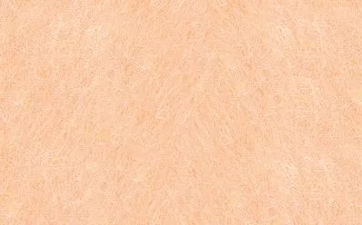 Bastelfilz | Dragon Toys