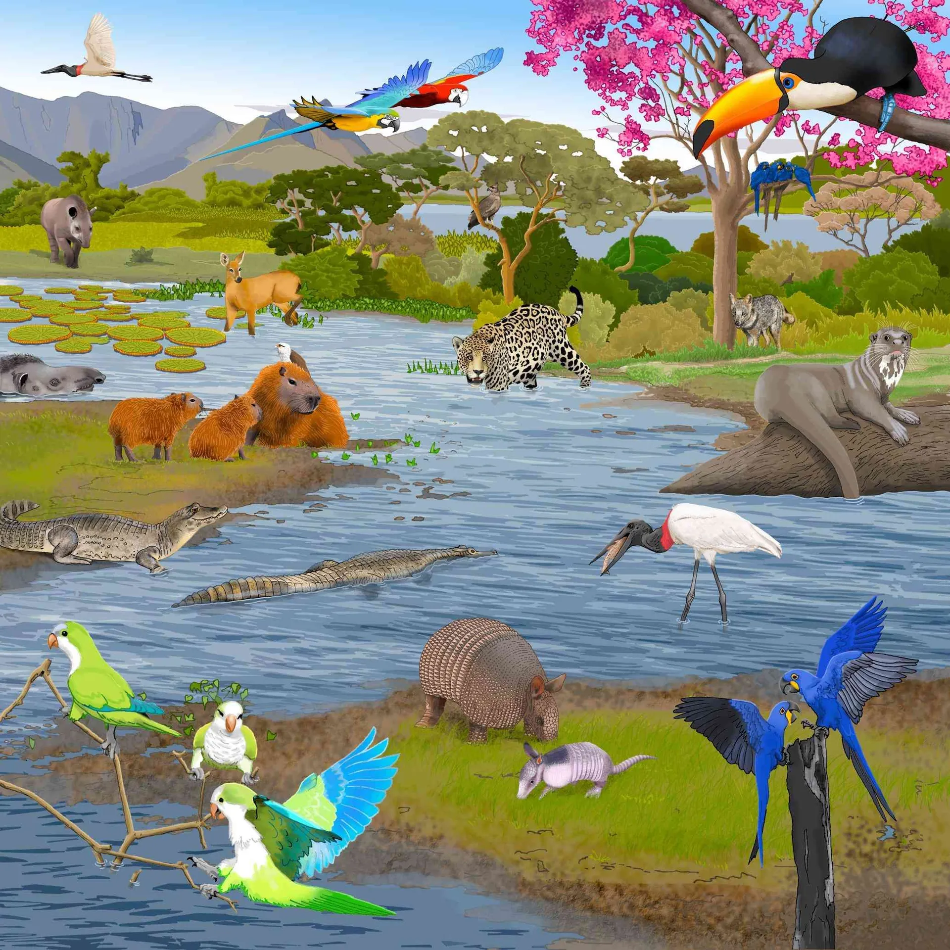 Virtuelles Puzzle "Lebensräume" | Puzzle Tiere | Dragon Toys