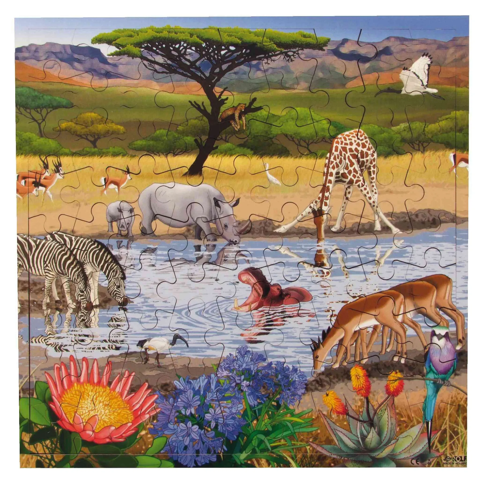 Virtuelles Puzzle "Lebensräume" | Puzzle Tiere | Dragon Toys_30204_
