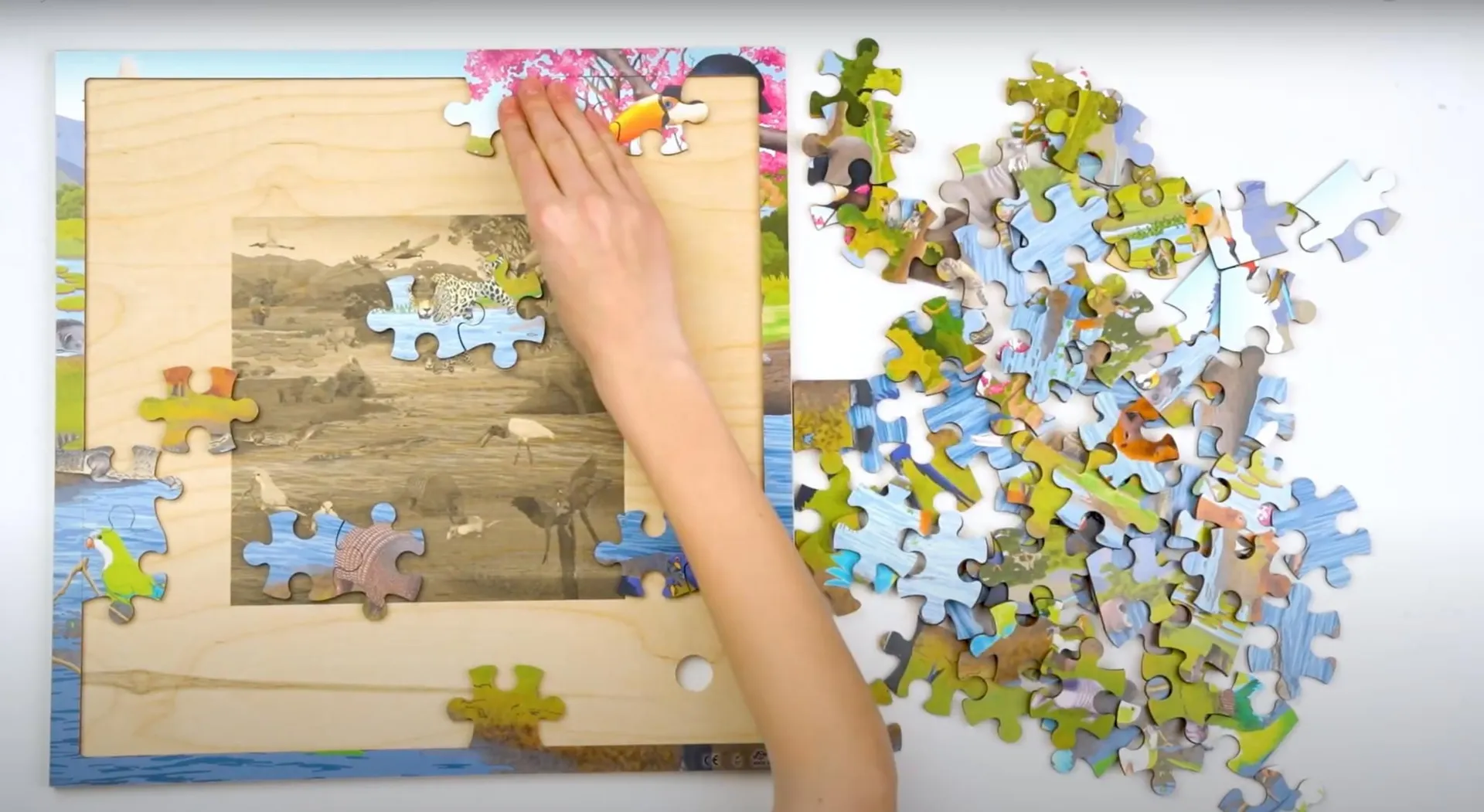 Virtuelles Puzzle "Lebensräume" | Puzzle Tiere | Dragon Toys