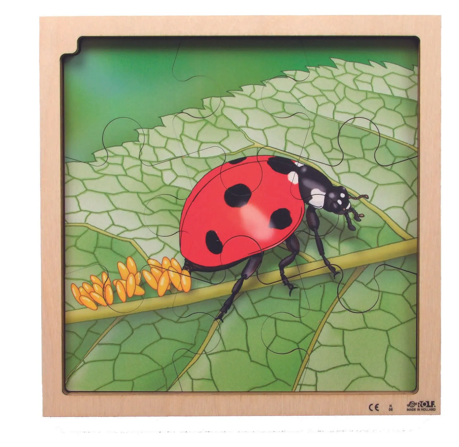 Mriennkäfer_3 Virtuelles Lagenpuzzle "Marienkäfer" | Dragon Toys